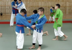 Ko‘pchilik ota-onalar bola sport bilan shug‘ullanishni