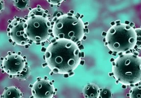 Foto: «Payhip.com» Osh tuzi koronavirus profilaktikasida