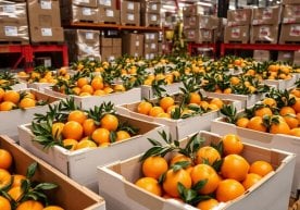 Давлат статистика қўмитаси маълумотларига кўра, Ўзбекистон