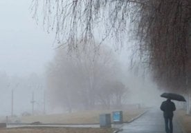 Ўзбекистоннинг бир қатор ҳудудларида бугунги кунда қалин