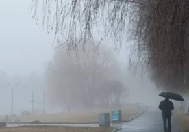 Ўзбекистоннинг бир қатор ҳудудларида бугунги кунда қалин