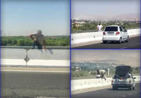 Фото: Тошкент вилояти Йўл ҳаракати хавфсизлиги бошқармаси