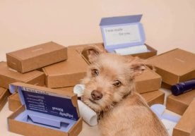 «Коммерсант» нашрининг маълумотига кўра, Ўзбекистон