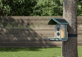 Осы айдың басында мен Kiwibit Bird Feeder Pro 4K AI Camera