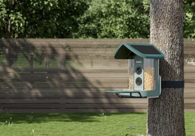 В начале этого месяца я начал тестировать Kiwibit Bird