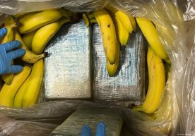 Germaniya supermarketlarida bananlar orasidan 95 kg kokain topildi фото