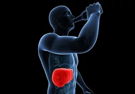 Кефир, қатиқ, сметана ва йогурт овқат ҳазм қилиш тизимига