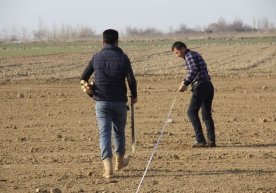 O‘zbekistonda aholiga dehqonchilik uchun 1 gektargacha yer ijaraga beriladi фото