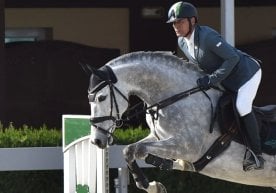 Toshkent shahrida oʻtayotgan konkur yoʻnalishidagi xalqaro