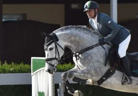 Toshkent shahrida oʻtayotgan konkur yoʻnalishidagi xalqaro