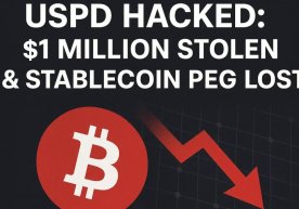 USPD лойиҳаси кибержиноятчиларнинг навбатдаги нишонига