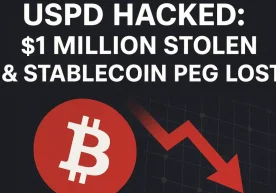 Проект USPD стал очередной мишенью киберпреступников.