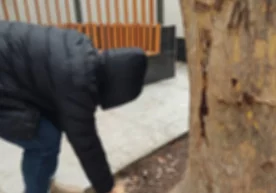 Фото: Миллий гвардия ахборот хизмати Тошкент шаҳрида