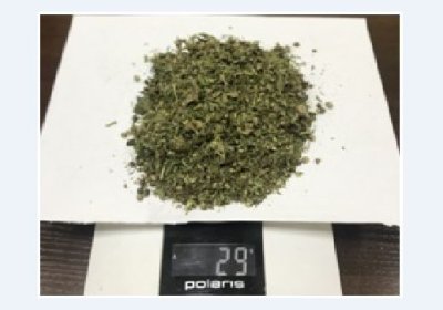 Машина кабинасига 29 грамм марихуана яширилган экан фото