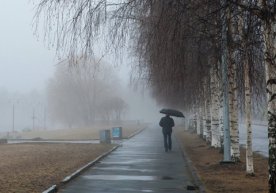 1 март куни Ўзбекистоннинг аксарият ҳудудларига туман тушади фото