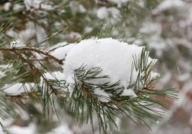 “Ўзгидромет” 27–30 январь кунлари кутилаётган ёғингарчилик