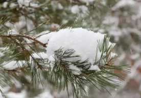 “Ўзгидромет” 27–30 январь кунлари кутилаётган ёғингарчилик