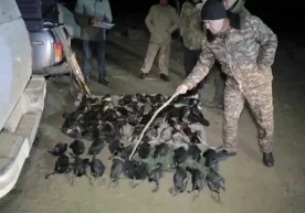 Бухоро вилоятида ҳуқуқ-тартибот идоралари ёввойи қушларни