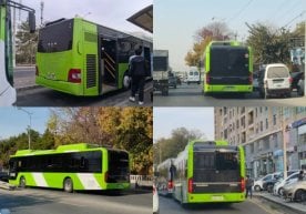 Тошкентда жамоат транспортида шаҳар аҳолиси томонидан