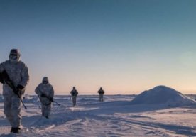 Arktika uchun jang: Shvetsiya va Finlyandiya NATOga nima uchun qo‘shilmoqda? фото