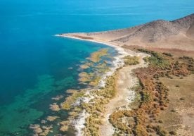 Кўл атрофида туризм драйвери ва транспорт алоқаси