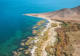 Кўл атрофида туризм драйвери ва транспорт алоқаси