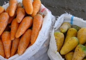 Сабзи — ҳар бир ўзбек хонадонларининг дастурхонида бор
