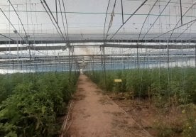 Мажбурий ижро бюроси Қашқадарё вилоят бошқармаси органлари