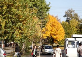 12 noyabr kungi ob-havo ma’lumoti e’lon qilindi фото