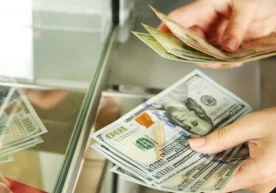 2020 yilning 8 oyi davomida O‘zbekistonga transchegaraviy