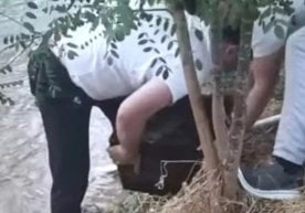 Тошкентда содир бўлган ҳайратомуз ўғирлик жамоатчиликни