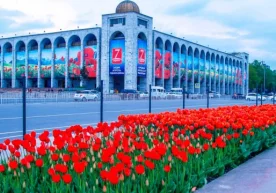 2019 йил 1 январдан бошлаб Қирғизистонда кўчага