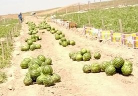 Қашқадарё вилояти Чироқчи туманидаги "Gissar
