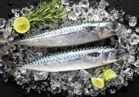 Тошкент шаҳри аҳолиси шаҳар бозорларида скумбрия нархининг