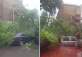 Ижтимоий тармоқларда кучли ёмғир ва унинг оқибатларига оид