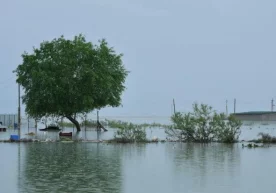 «Gazeta.uz» нашри журналисти Никита Макаренко Сирдарё