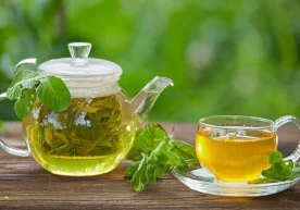 Кўк чой кўплаб касалликлар, жумладан, инсульт ва саратон