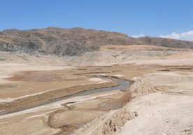 БМТнинг Озиқ-овқат ва қишлоқ хўжалиги ташкилоти (FAO)