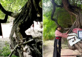 Ginnesning rekordlar kitobi Tibet tog‘laridan topilgan 416