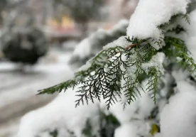 “Uzhydromet”, 18 Ocak’a kadar olan hava tahminini