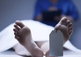 Ижтимоий тармоқларда хорижда бўлиб турган