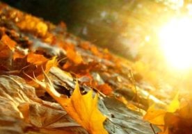 Ўзгидромет маълумотларига кўра, 12 ноябрь куни