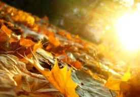 Ўзгидромет маълумотларига кўра, 12 ноябрь куни