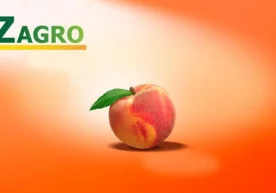 Экспорт соҳасида катта ўзгариш. UzAgro маҳаллий фермерлар