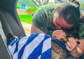 Техасда 2017 йилда ураган пайтида йўқолган Блю лақабли ит