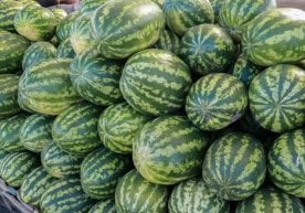 Ўзбекистонда август ойи якунига кўра, бир қатор