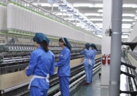 2025 йил 1 декабрь ҳолатига кўра, Ўзбекистон ҳудудида