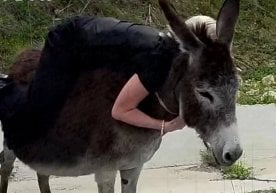 Дағыстан аумағында орын алған келеңсіз жағдай әлеуметтік
