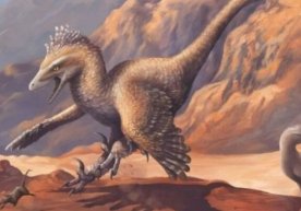 Angliyada qushsimon yirtqich dinozavrlarning yangi turi topildi фото