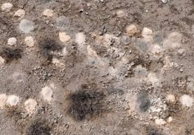 АҚШнинг Невада штатида жуда тажрибали тадқиқотчиларни ҳам